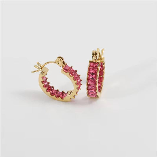 Luxe Hoops - PINKXLUXE